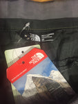 Men’s 38W North Face Shorts Gray Striped